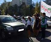 День без автомобиля в Зеленограде