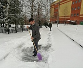 Сотрудники "М КЛУБа" приняли участие в патронатной уборке