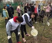 Активисты молодёжных организаций высадили деревья на Аллее славы