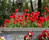 Память и почести: Крюково вспоминает героев Великой Отечественной войны