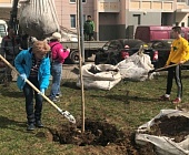 Крюковчане приняли участие в акции «Миллион деревьев»