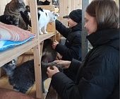 Активисты Семейного центра посетили зеленоградский приют для животных