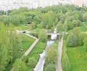 Депутат Мосгордумы: Озеленение городских территорий является одним из важнейших акцентов благоустройства