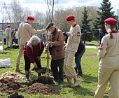 В Крюково посадили деревья в память о героях Великой Отечественной