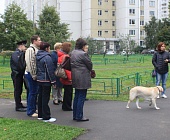 В Крюково прошли рейды по борьбе с нарушителями выгула собак