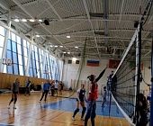 Волейболисты Крюково одержали еще одну победу в «Кубке префекта – 2019»