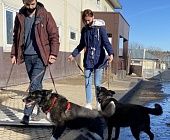Волонтёры из Зеленограда посетили местный приют для животных